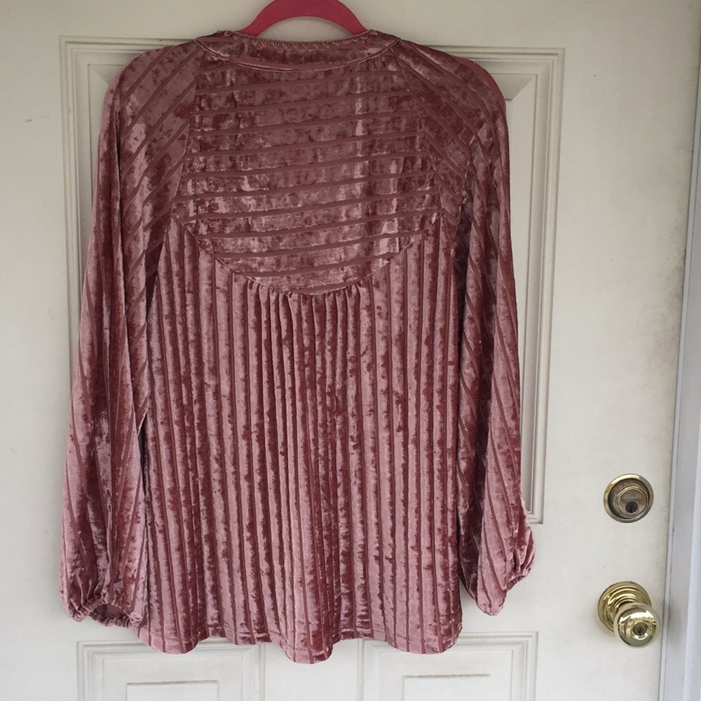 Entro Velvet Top - Picture 4 of 5